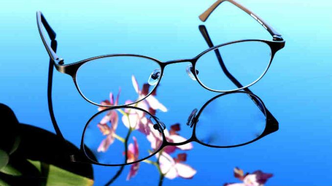 brille-blume-sehen-gesehen-wahr genommen werden-glasses