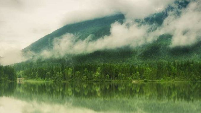 natur-see-nebel-lake