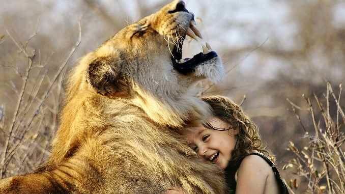 kind loewe angst liebe lion